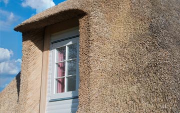 Taibach thatch roof disadvantages